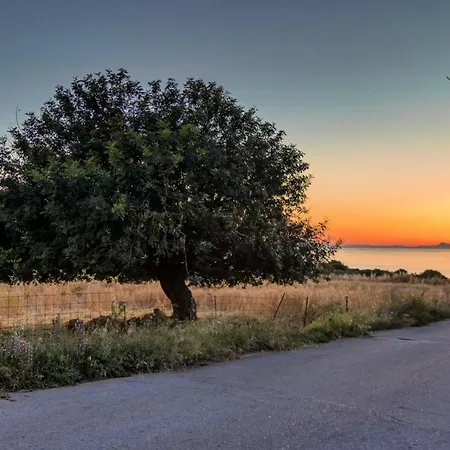Creta Sunset Skaleta